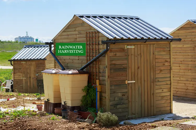 Rainwater Harvesting